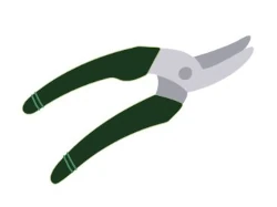 Visite de suivi après conception et plans de jardin, espaces extérieurs verts : conseils en entretien à Saint sébastien sur loire, thouaré, Sucé sur Erdre...